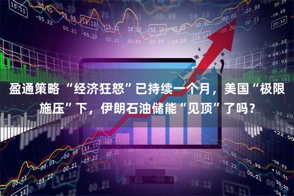 盈通策略 “经济狂怒”已持续一个月，美国“极限施压”下，伊朗石油储能“见顶”了吗？